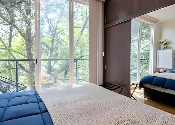 Walk Everywhere In Roma Norte: 3 Bedroom Balconies México DF